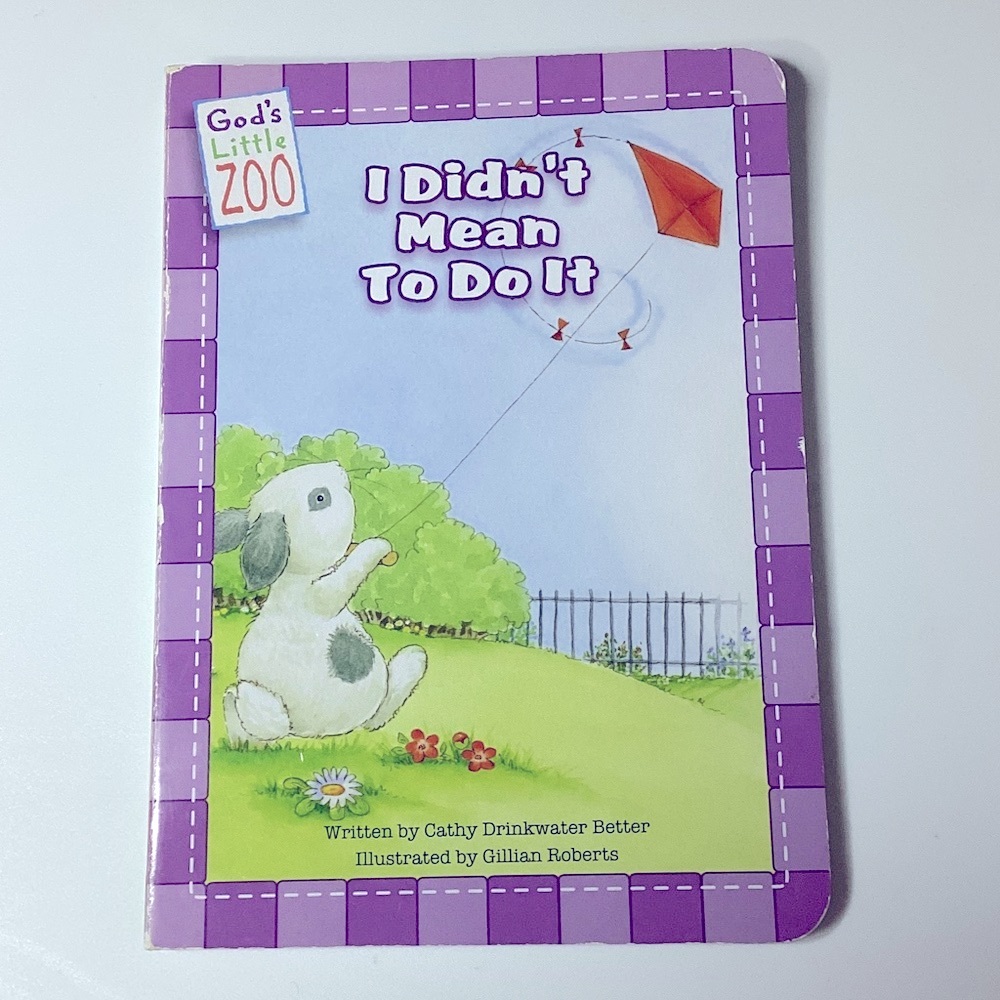 I Didn't Mean To Do It Children's Book